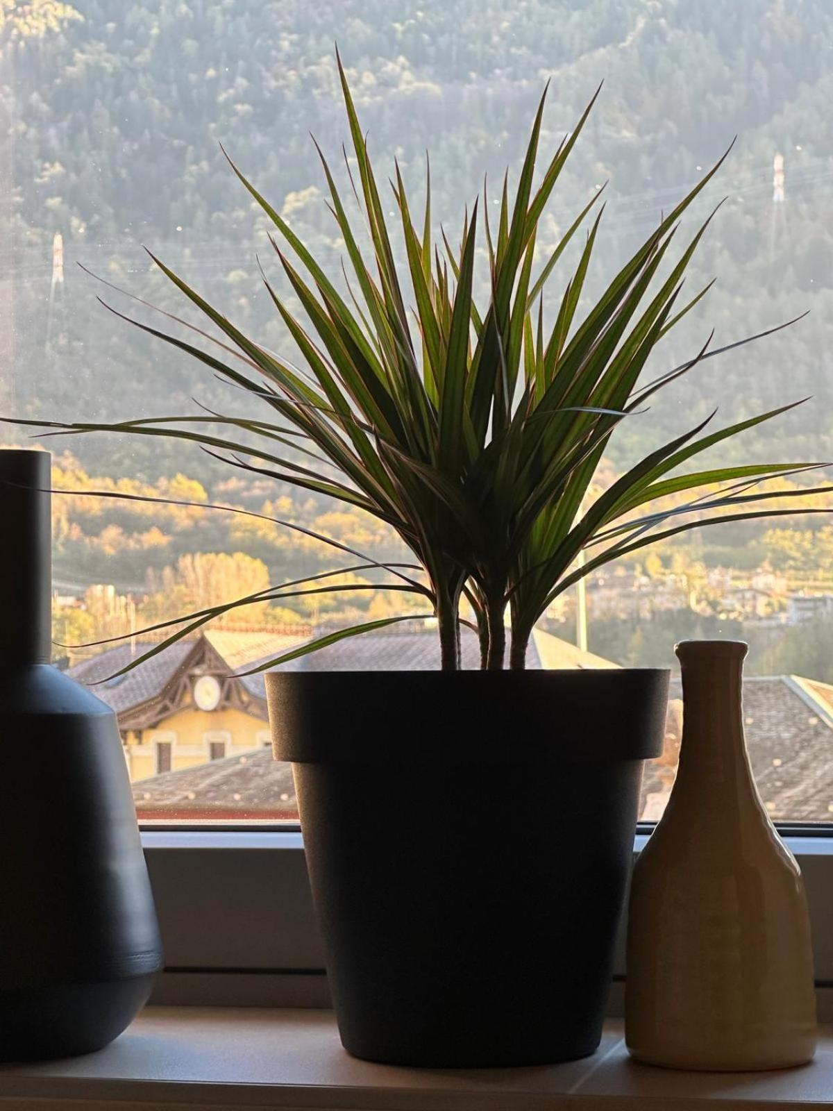 Terra Hotel Boutique Tirano Zewnętrze zdjęcie